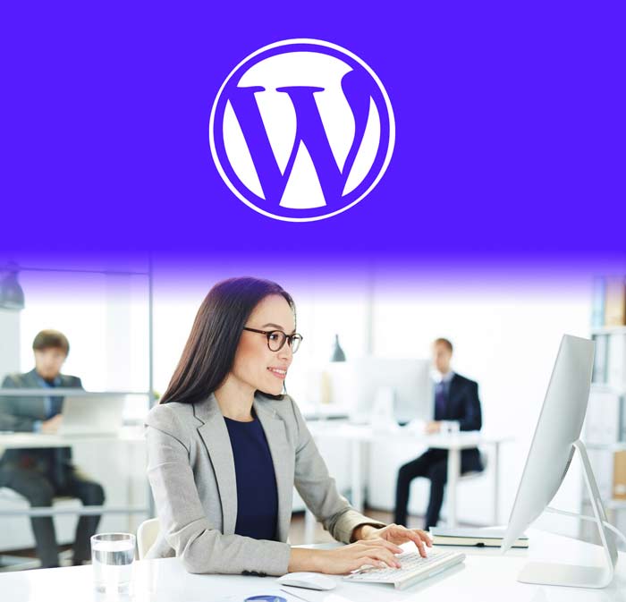 Web Developer working on White label website project